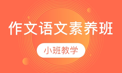 作文及语文素养班