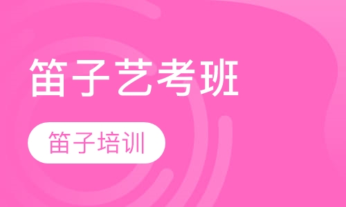 笛子艺考班