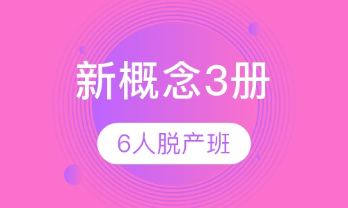 新概念3册4-8人精品班