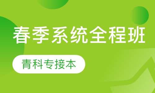 春季系统全程班