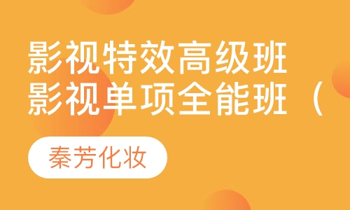 影视特效高级班影视单项全能班（三选一）