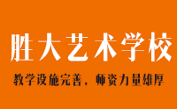 临沂胜大艺术培训