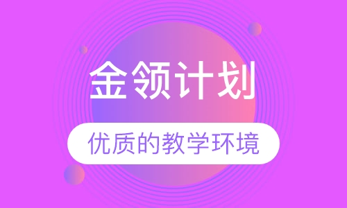金领计划