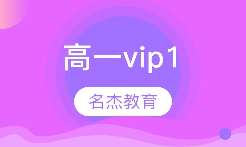高一vip1