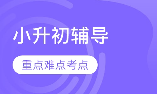 小升初重点中学数学寒假培优考前集训班