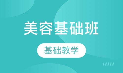 专业基础班