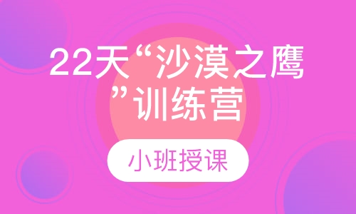 22天“沙漠之鹰”训练营