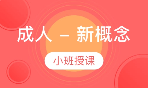 成人 - 新概念