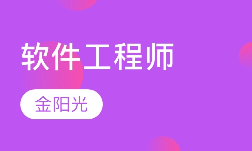 软件工程师