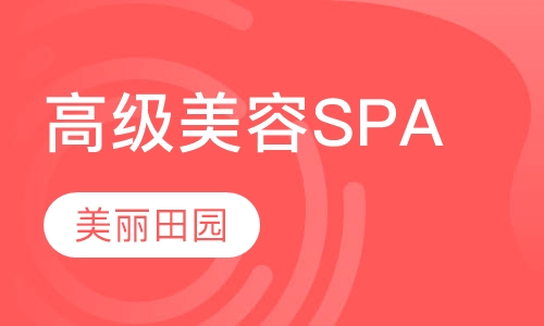 高级SPA班