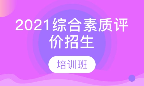 2021年综合素质评价招生培训班