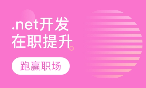 .net开发在职提升