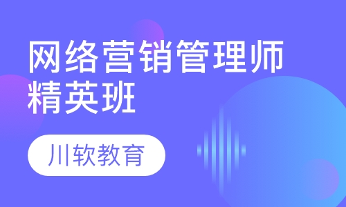 网络营销管理师精英班