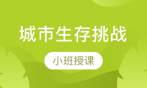 城市生存挑战