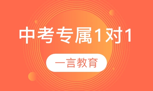 中考辅导专属1对1