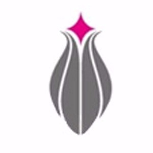 东莞金领叉车培训