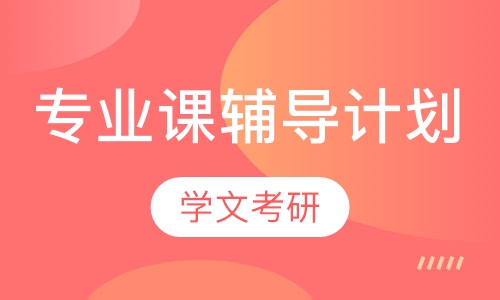 专业课辅导计划