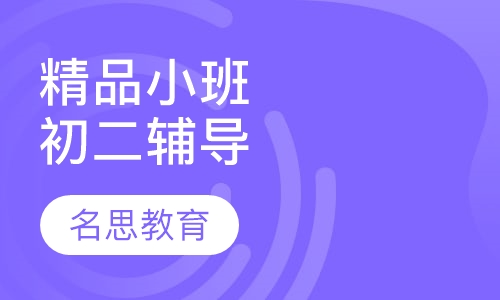 精品小班初二辅导