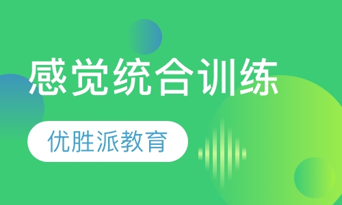 感觉统合训练