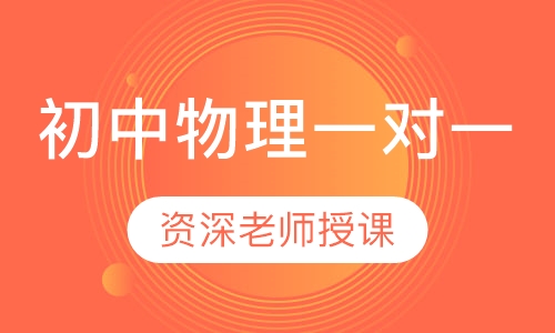 初中物理一对一