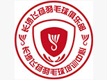 长沙飞扬羽毛球