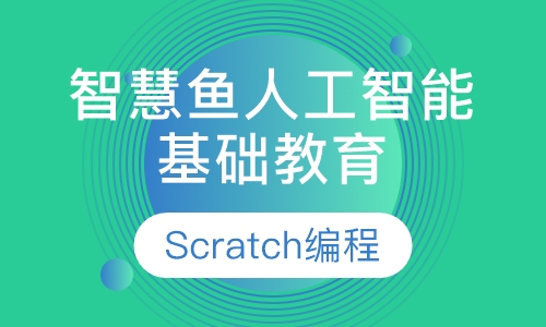 双师课+录播课+直播课Scratch编程