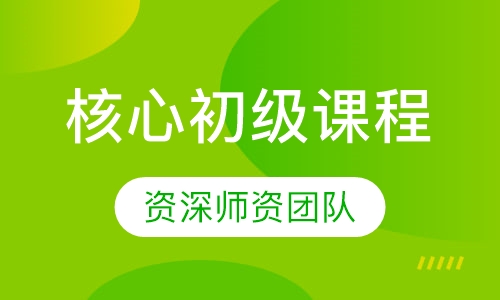 核心初级课程