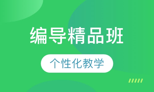 编导精品班