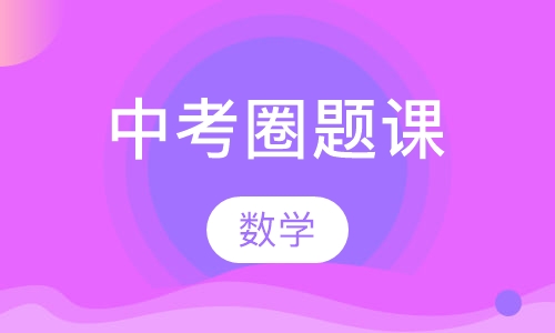 中考数学圈题课