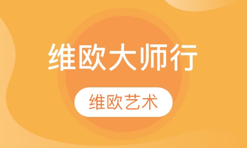 维欧大师行