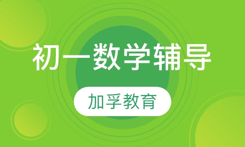 初一数学辅导