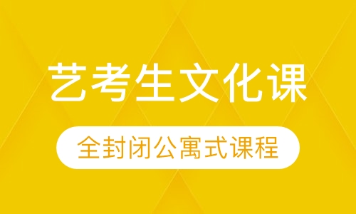 艺考生文化课