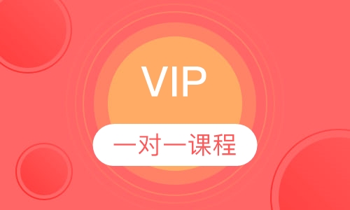 VIP一对一课程