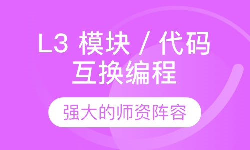 L3 模块／代码互换编程算法一