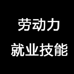 贵州劳动力技能培训学校