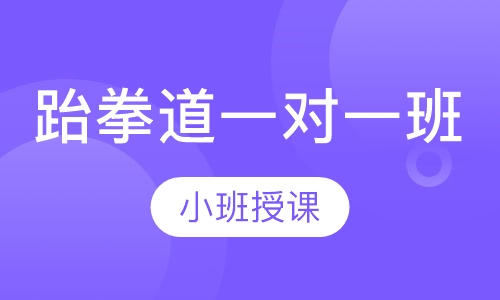 跆拳道一对一班