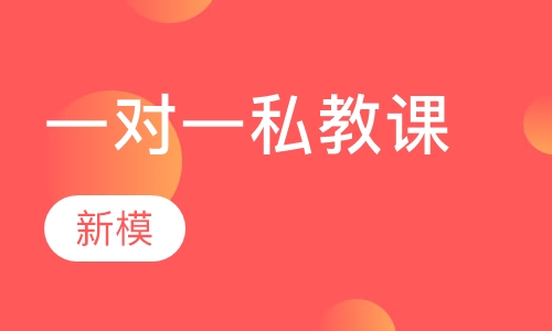 成人一对一私教课