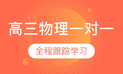 高三物理一对一