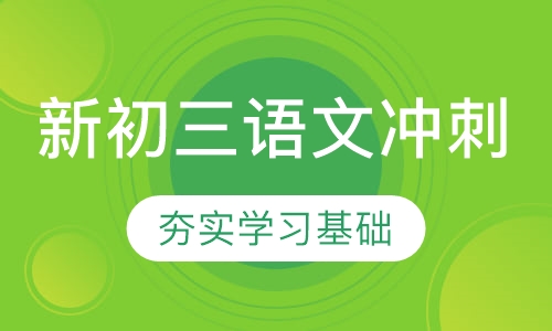 新初三语文冲刺班