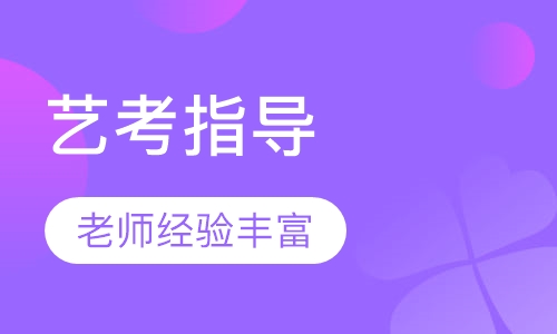 艺考指导