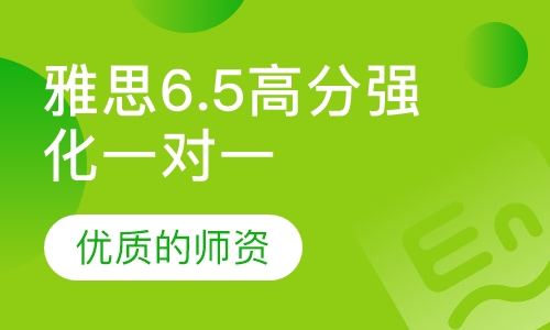 雅思6.5高分强化一对一