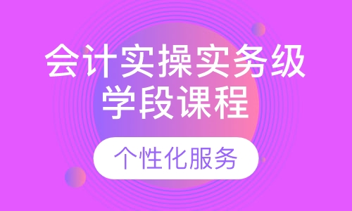 会计实操实务级学段课程