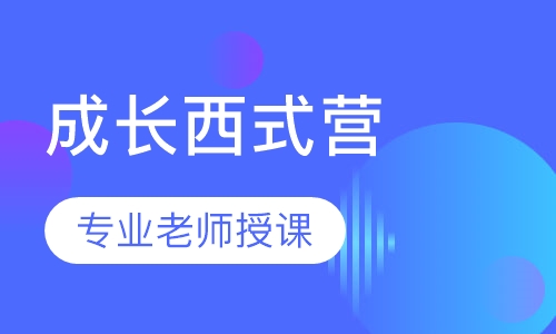 小鬼当家成长西式营