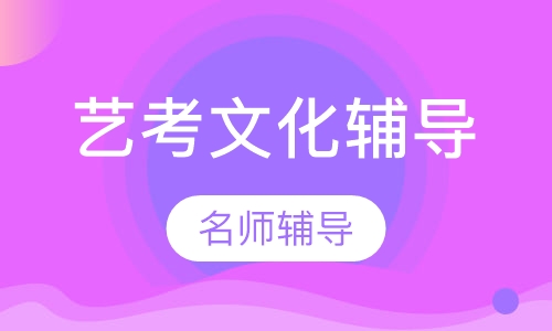 艺考高三冲刺文化课