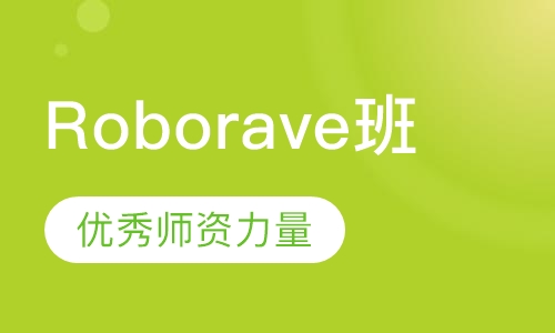 Roborave比赛班