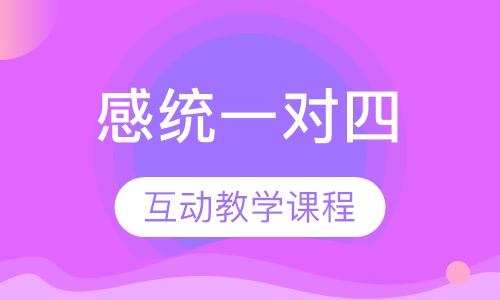 感觉统合一对四