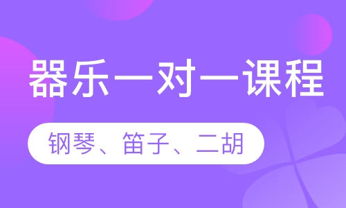 器乐一对一课程