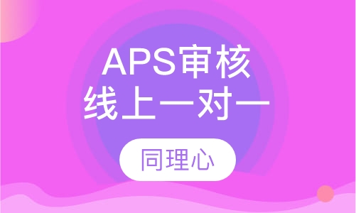 APS审核线上一对一取证课程