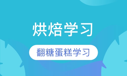 大师进修课