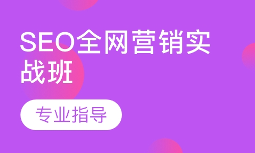 SEO全网营销实战班